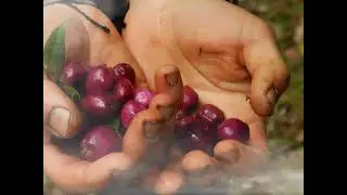 ES UNA B&Uacute;SQUEDA POR VIVIR | A.S.A.Z.