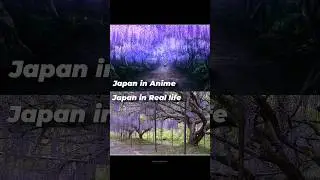 When anime meets reality 🌸💜 Japan truly feels like a dream come to life! 🇯🇵✨