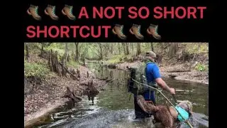 Hiking with my son and labradoodle trying to beat a storm home