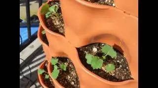 Review of the Garden Tower 2 by Daniel -- Alberta, Canada