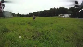MultiWiiCopter - Meeting the Moose