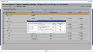6. SAP Planning: Cost Center Hierarchy Maintenance