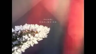 Faidel - IS 17V (Warmth Remix)
