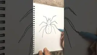 How to Draw Spider | Simple Spider Drawing