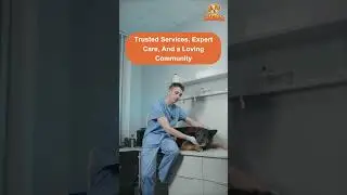 Wagtiva 🐾 The World&rsquo;s First AI Pet Care App!