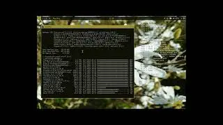 Edu 0027 : ArchBang - installation - tips - arcolinux-nemesis scripts