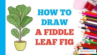 How to Draw a Fiddle Leaf Fig: Easy Step by Step Drawing Tutorial for Beginners