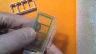 ABC SCIENTIFIC Cell Culture Chamber slides