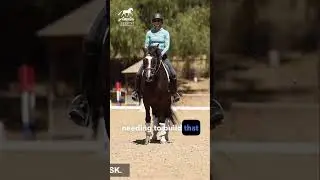 Three Tips for Riding an Older Horse