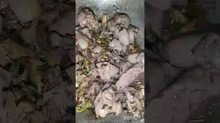 chicken liver fry