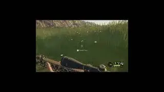 The Hunter Call of the Wild: Warthog Wednesday Hunt 🐗🔥 | COTW Shorts