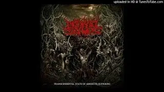 Darkall Slaves &ndash; Transcendental State of Absolute Suffering