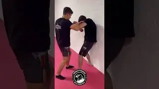 &iquest;Como escapar si te est&aacute;n destrozando a golpes contra una pared? #defensa #defensapersonal
