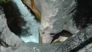 SAUT DE LOUPE