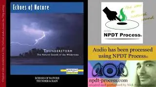 Echoes Of Nature - Thunder & Rain | Perfect Audio @ 445Hz