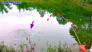 LIHAT HASILNYA‼️ PANEN STRIKE IKAN NILA | SPOT ANTI BONCOS @TA MANCING