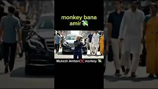 Mukesh Ambani ❌ monkey 💸 monkey vlogs&nbsp; #shorts #shortfeed #viral #monkeyvlogs #aimonkey #vlogger