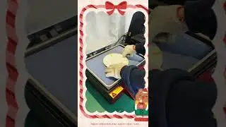 Freesub 3d vacuum heat press machine makes Christmas plate #freesub #oem #factory #heatpress
