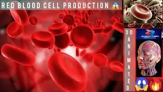 {~☆RED BLOOD CELL PRODUCTION}😱😱#3danimation #viral#anotomy