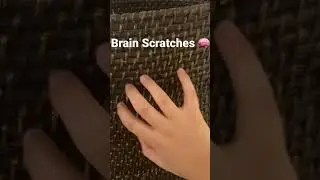 Crisp Brain Scratches ASMR 🧠😴 #asmr #shorts #asmrscratching #asmrsounds