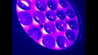 19x15W Zoom LED Moving Head Wash & Spark efx