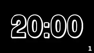 20 Minute Interval Timer