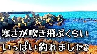 『穴釣り』寒さも吹き飛ぶ爆釣