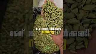 Cardamom Supply | Export | Idukki
