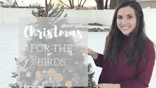 WHAT TO DO WITH LEFTOVER CHRISTMAS TREES