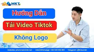Phần Mềm Tải Video TikTok Kh&ocirc;ng Logo Theo Hashtag 2025 | Download Nhanh, Full HD