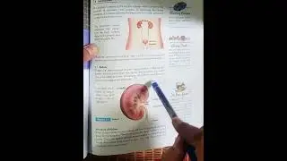 Science knowledge 