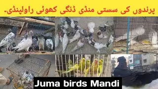 Juma Bazar | Kabootar Parrot Mandi Rawalpindi | New Update 2025