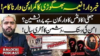 Digital Conspiracy:Unmasking Fake Accounts and the Naeema Network Propaganda | Zain Baloch Exclusive