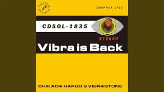 VIBRA IS BACK