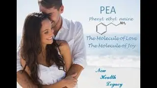 Klamax   1E Molecule of Love  and Neuronal Stem Cells NHL