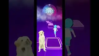 Cute dog Tiles Hop EDM Rush #tileshop #tileshopedmrush #gameplay #cute #cuteanimals
