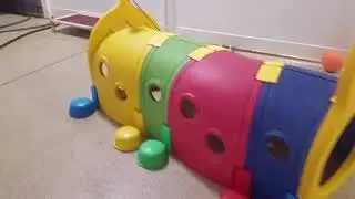 Playtime at Dogs On The Farm & Cats Too!