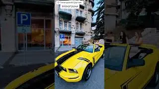 Трансфер, покатушки, мустанг 8-928-012-13-13