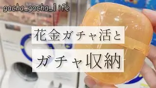 花金ガチャ活でストレス発散【後半はガチャ収納】