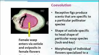 BT101_Topic025