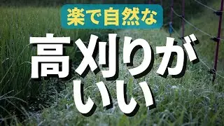 高刈りなら速くて楽。自然の野山のような仕上がり。