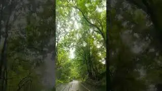 Mini Kerala💚🌧️in Gujarat👉 Dang#travel #gujarat #india