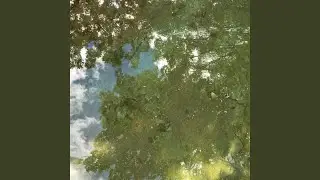 splintered sky