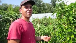 Rose Hip Road Trip - Tour of True Love Seeds w/ Owen Taylor
