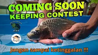 INFO PUSAT !!! KEEPING CONTEST SELANJUTNYA #khusnulkoi 