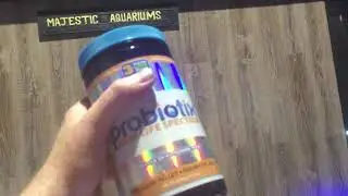 Using Probiotix to rid Bristleworms!