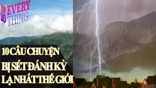 Top 10 Of Everything - TOP 10 C&Acirc;U CHUYỆN BỊ S&Eacute;T Đ&Aacute;NH KỲ LẠ NHẤT THẾ GIỚI