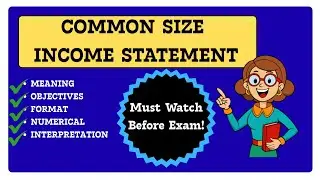 Master Common Size Income Statement in Minutes!! Financial Statement Analysis