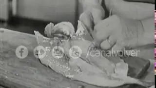 Las recetas de Doña Petrona - Pejerrey frío relleno con atún