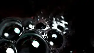 OMMATIDIA // macro experimental film of close up textures